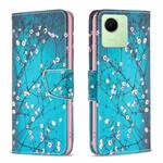 For Realme C30 Colored Drawing Pattern Leather Phone Case(Plum Blossom)