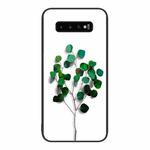 For Samsung Galaxy S10+ Colorful Painted Glass Phone Case(Sapling)