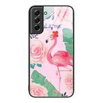 For Samsung Galaxy S21 5G Colorful Painted Glass Phone Case(Flamingo)