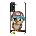 For Samsung Galaxy S21 5G Colorful Painted Glass Phone Case(Owl)