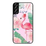 For Samsung Galaxy S22+ 5G Colorful Painted Glass Phone Case(Flamingo)