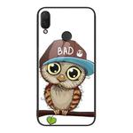 For Huawei nova 3i Colorful Painted Glass Phone Case(Owl)