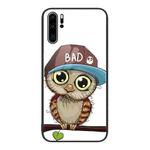 For Huawei P30 Pro Colorful Painted Glass Phone Case(Owl)