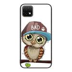 For Huawei Enjoy 20 5G Colorful Painted Glass Phone Case(Owl)