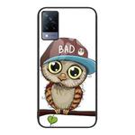 For vivo S9 Colorful Painted Glass Phone Case(Owl)