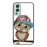 For OnePlus Nord 2 5G Colorful Painted Glass Phone Case(Owl)
