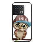 For OnePlus 10 Pro Colorful Painted Glass Phone Case(Owl)