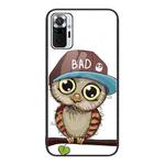 For Xiaomi Redmi Note 10 Pro 4G Colorful Painted Glass Phone Case(Owl)
