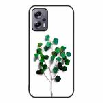 For Xiaomi Redmi Note 11T Pro Colorful Painted Glass Phone Case(Sapling)