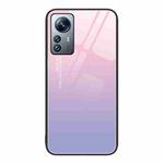 For Xiaomi 12 Pro Colorful Painted Glass Phone Case(Purple Sky)