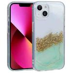 For iPhone 14 DFANS DESIGN Dual-color Starlight Shining Phone Case (Green)