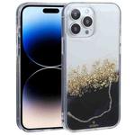 For iPhone 14 Pro DFANS DESIGN Dual-color Starlight Shining Phone Case(Black)