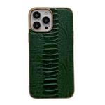 For iPhone 14 Pro Genuine Leather Pinshang Series Nano Electroplating Phone Case(Green)