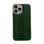 For iPhone 13 Pro Max Genuine Leather Pinshang Series Nano Electroplating Phone Case (Green)