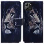 For Infinix Hot 11 2022 Coloured Drawing Leather Phone Case(Lion)