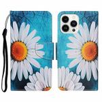 For iPhone 14 Pro 3D Colored Drawing Flip Leather Phone Case(Chrysanthemum)