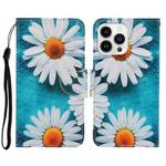 For iPhone 14 Pro Max 3D Colored Drawing Flip Leather Phone Case (Daisy)
