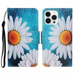 For iPhone 14 Pro Max 3D Colored Drawing Flip Leather Phone Case (Chrysanthemum)