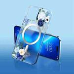 For iPhone 14 Pro Flower Frosted MagSafe Phone Case(Blue Flower)