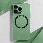 For iPhone 12 Pro Leather Electroplated Magsafe Case(Green)