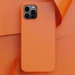 For iPhone 14 Pro Plain Skin Leather Phone Case(Orange)