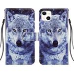 For iPhone 14 Plus Painted Pattern Leather Phone Case (White Wolf)