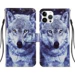 For iPhone 14 Pro Max Painted Pattern Leather Phone Case (White Wolf)