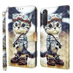 For Sony Xperia 5 II 3D Painted Leather Phone Case(Naughty Cat)