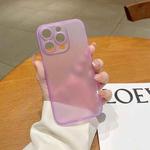 For iPhone 14 Pro Max Frosted PP Phone Case (Purple)