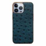 For iPhone 13 Pro Max Genuine Leather Ostrich Texture Nano Case (Blue)