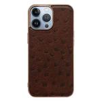 For iPhone 14 Pro Genuine Leather Ostrich Texture Nano Case(Coffee)