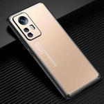 For Xiaomi 12/12S/12X Light and Shadow Series Frosted Metal Phone Case(Gold)