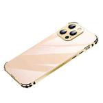 For iPhone 13 Pro Max Stainless Steel+TPU Metal Transparent Phone Case (Gold)