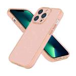 For iPhone 13 Pro Max Fine Hole Phone Case (Shining Gold)