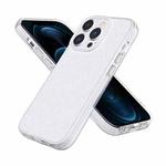 For iPhone 12 Pro Max Fine Hole Phone Case(Shining White)
