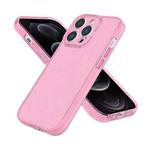 For iPhone 12 Pro Fine Hole Phone Case(Shining Pink)