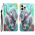 For iPhone 14 Pro Max Colored Drawing Leather Phone Case (Elephant)