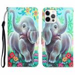 For iPhone 12 Pro Max Colored Drawing Leather Phone Case(Elephant)