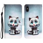 For iPhone XS Max Colored Drawing Leather Phone Case(Blue Eyes)