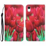 For iPhone XR Colored Drawing Leather Phone Case(Tulips)