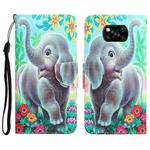 For Xiaomi Poco X3 NFC Colored Drawing Leather Phone Case(Elephant)