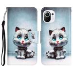 For Xiaomi Mi 11 Lite Colored Drawing Leather Phone Case(Blue Eyes)