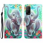 For Xiaomi Mi 10T 5G Colored Drawing Leather Phone Case(Elephant)