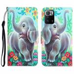 For Xiaomi Redmi Note 10 Pro 5G Colored Drawing Leather Phone Case(Elephant)