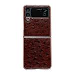 For Samsung Galaxy Z Flip4 5G Genuine Leather Ostrich Texture Nano Electroplating Phone Case(Coffee)