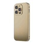 Integrated Metal Frosted Phone Case For iPhone 14 Pro Max(Gold)