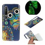 For Xiaomi Mi 10 Luminous TPU Mobile Phone Protective Case(Blue Owl)