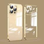 For iPhone 11 Pro Max Dustproof Glass Lens Protection Electroplating Phone Case(Gold)