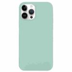 For iPhone 14 Pro Solid Silicone Phone Case(Emerald Green)