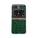 For Motorola Moto Razr 2022 Genuine Leather Ostrich Texture Nano Plating Phone Case(Green)